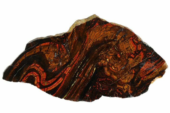 Polished Tiger Iron Stromatolite Slab - Billion Years #185920